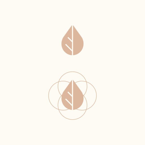 Anthos Skyn Brand Kit - Image 7